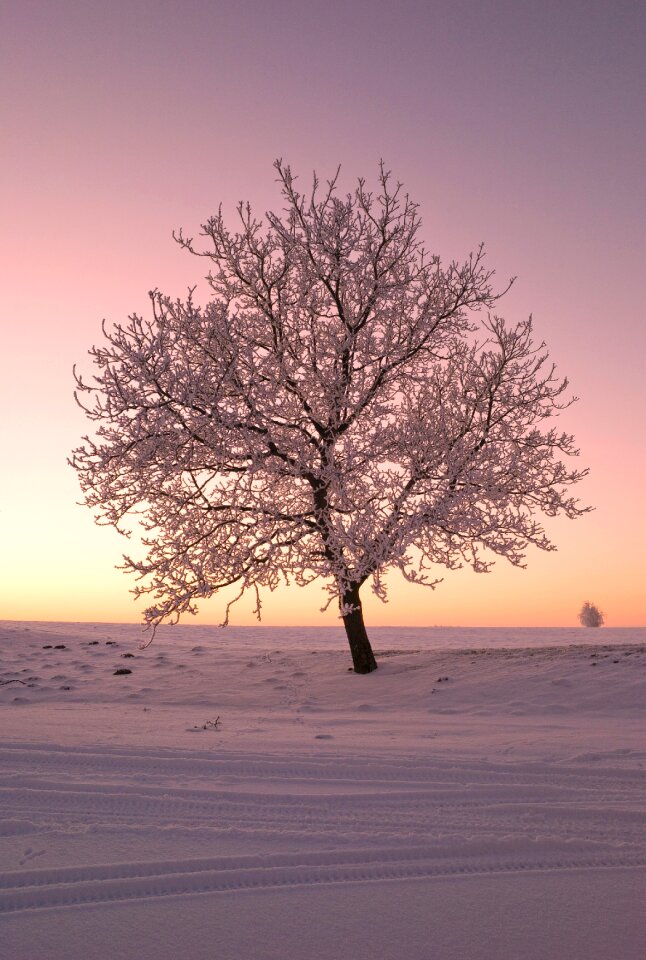 Winter cold winter landscape photo