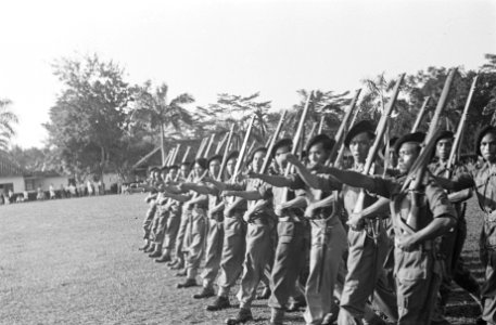 Legerdag te Pangkal Pinang. Militair Deflilé ´in linie´, Bestanddeelnr 133-2-6