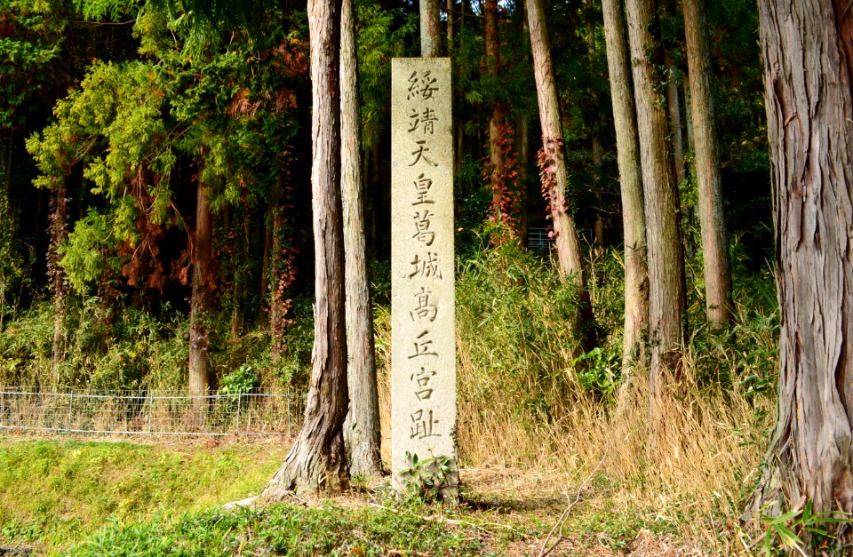 Legendary Imperial Palace of Emperor Suizei-2