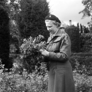 Leger, opleidingen, militairen, vrouwen, Bestanddeelnr 900-6713