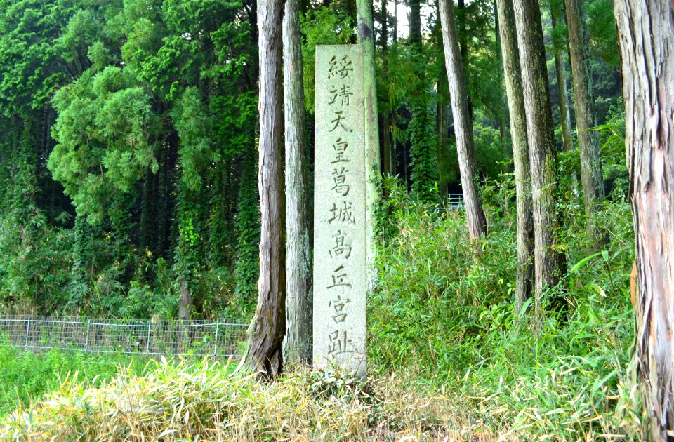 Legendary Imperial Palace of Emperor Suizei
