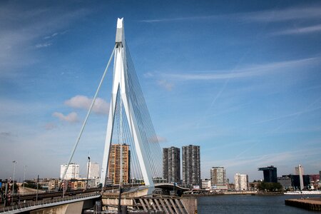 City netherlands erasmus bridge photo