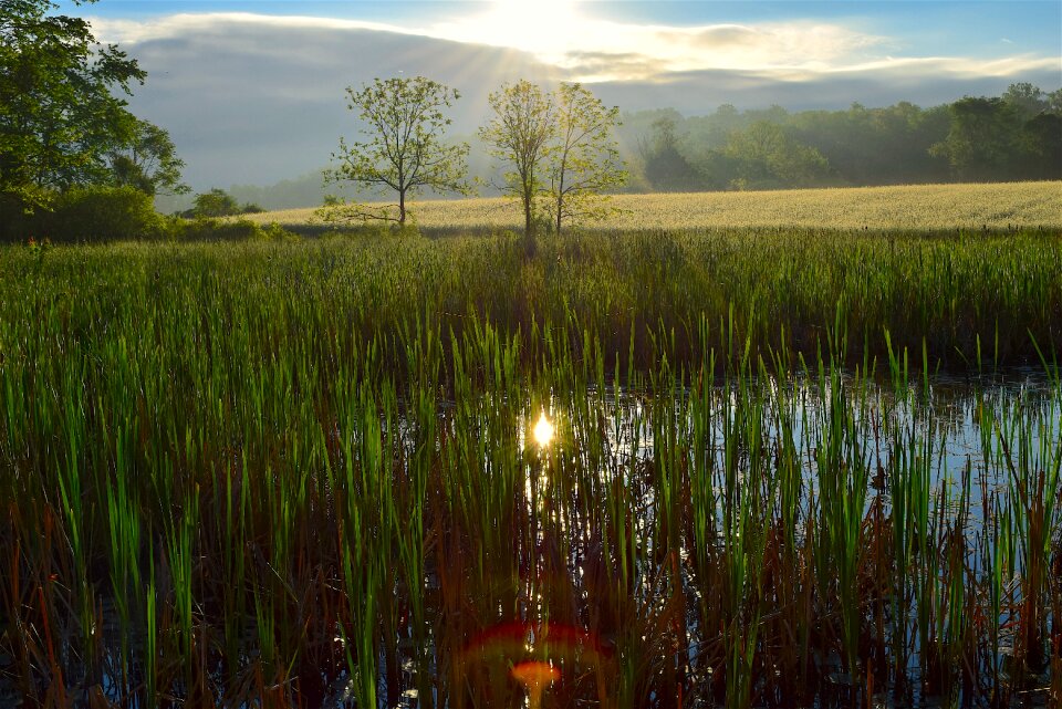 Landscape water sky