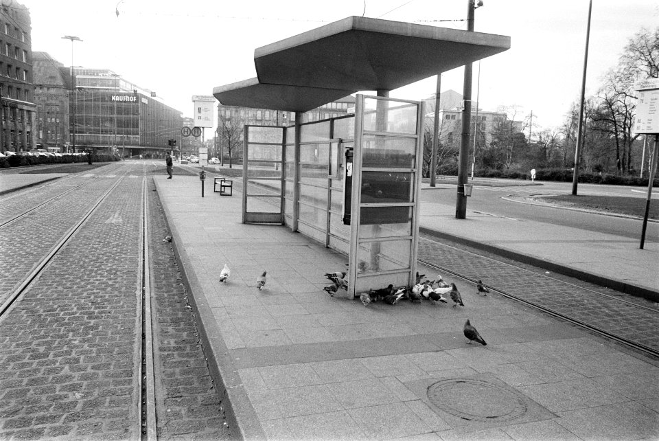 Lege tramhalte, Bestanddeelnr 926-9983