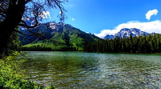 Leigh Lake With Mt Moran (264131103)