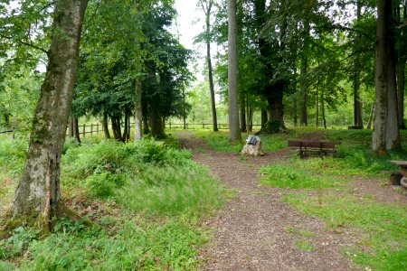 Leiberg - Pestfriedhof - 4