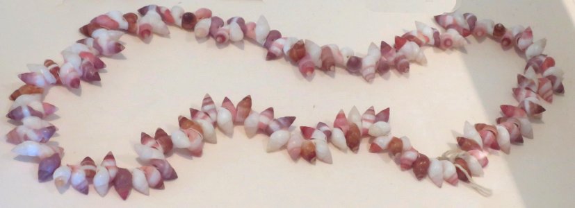 Lei pupu kuhahiwi (Hawaiian land snail shells), Bailey House Museum
