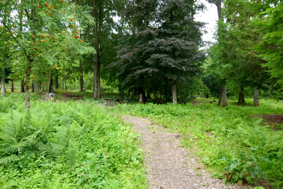 Leiberg - Pestfriedhof - 5