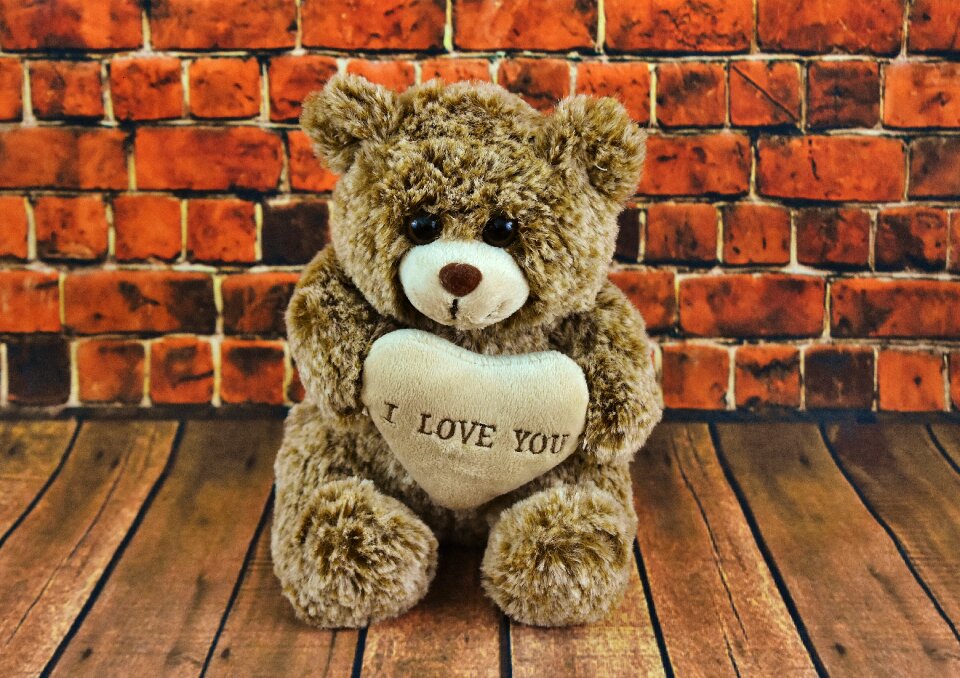 Forever cute bear