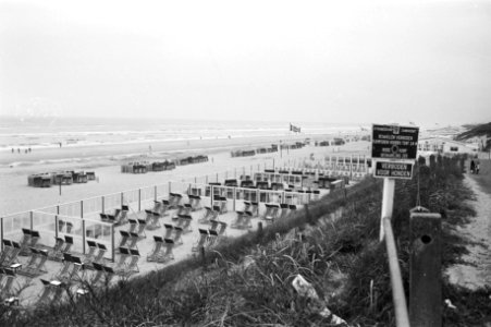 Leeg strandterras, Bestanddeelnr 924-6271