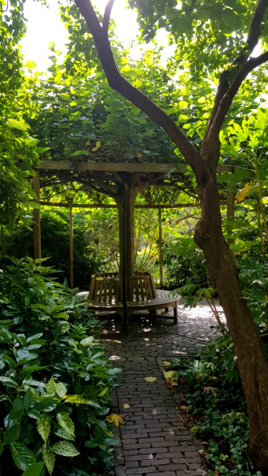 Leiden-Hortus (25)