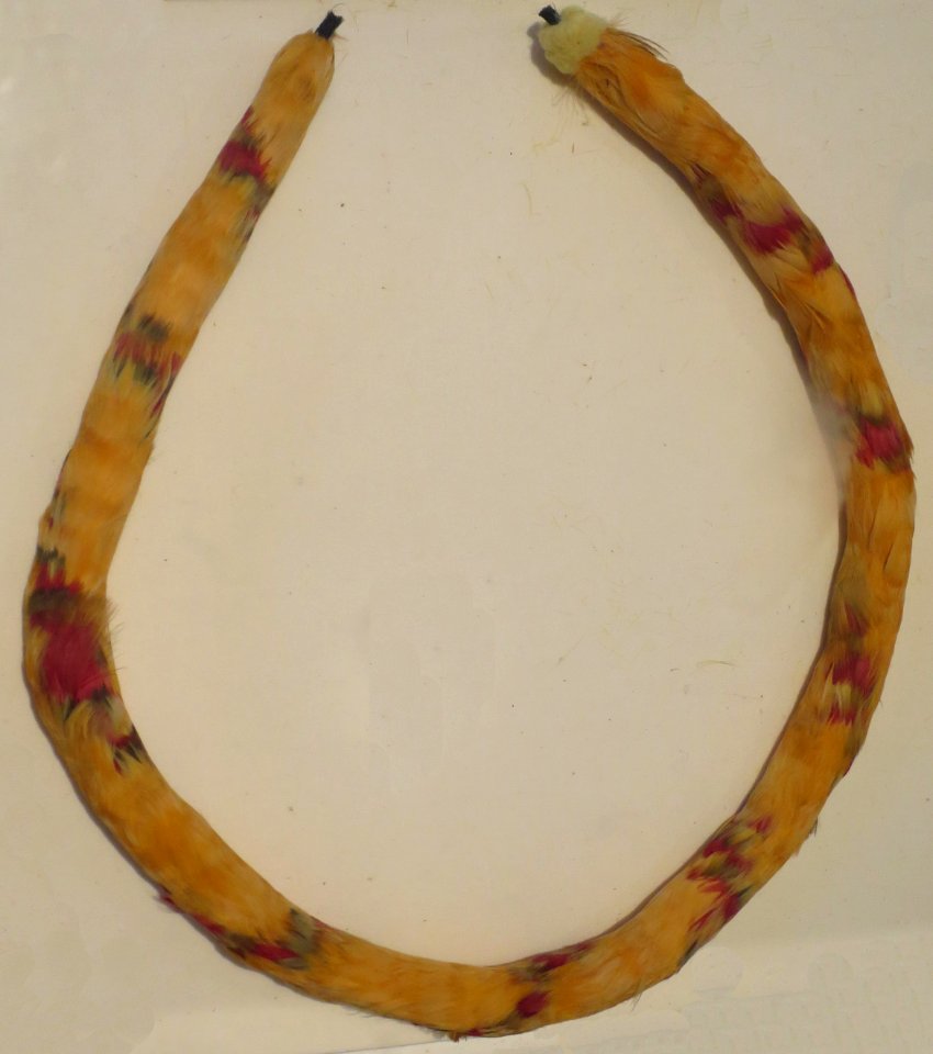 Lei Kamoe, mamo, 'i'iwi and 'o'o feathers, Bailey House Museum