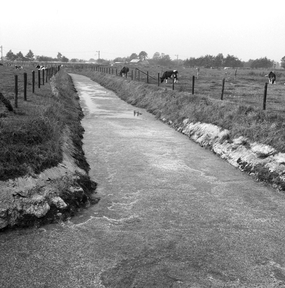 Leiding 9 vanaf de hessenweg richting spoorweg ede - barneveld, Bestanddeelnr 162-0467