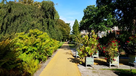 Leiden-Hortus (19) photo