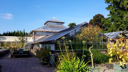 Leiden-Hortus (2) photo