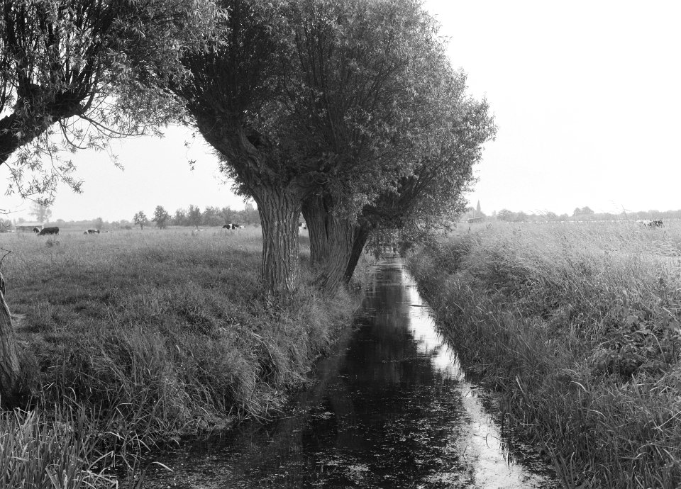 Leiding 52 in oude toestand, Bestanddeelnr 250-8232