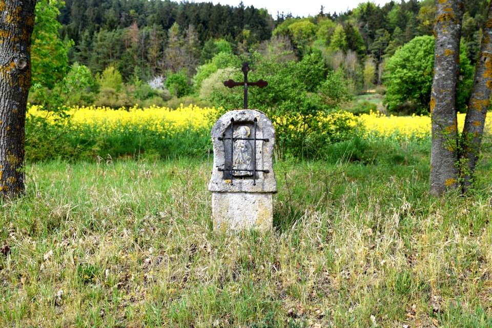 Leising (Beilngries) Bildstock