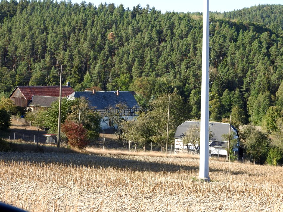 Leiningen, Greiz 6