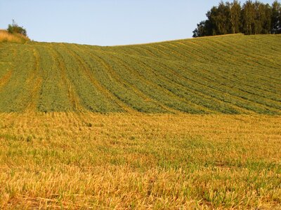 Agriculture landscape village photo