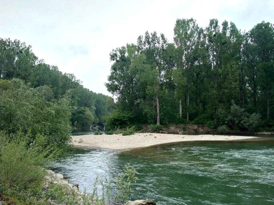 Leimersheimer Altrhein, Kiesbank