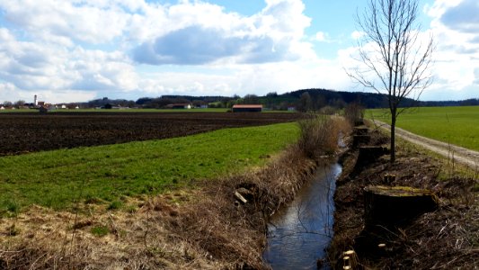 Lehnbach bei Zaisertshofen (03)