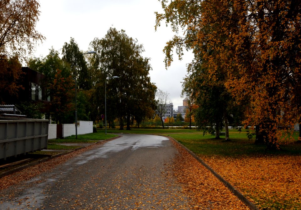 Lehtoranta Oulu 20171001