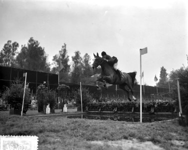 Laatste dag Concours Hippique Rotterdam Engels team Arts neemt hindernis, Bestanddeelnr 907-9781