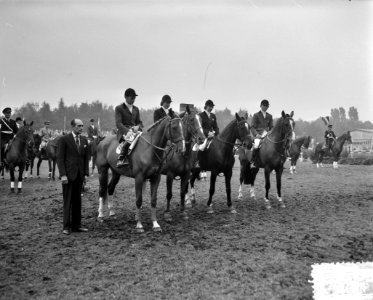 Laatste dag Concours Hippique Rotterdam. Engels team. Engels team, Bestanddeelnr 907-9784