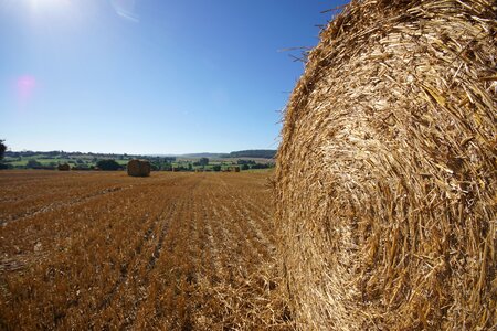 Straw agriculture hay photo