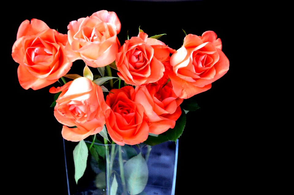 Bouquet of flowers the ceremony rose