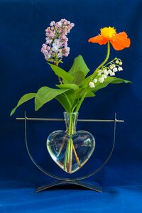Bouquet lilac flower vase thrush photo