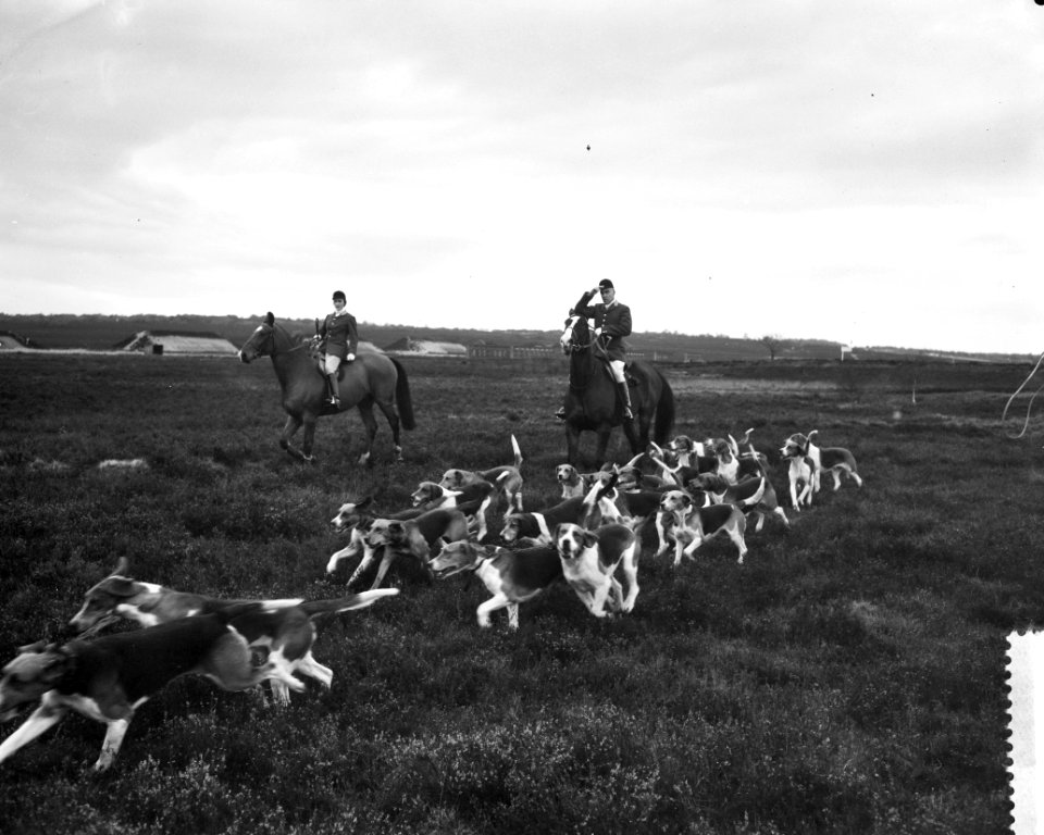 Laatste oefenslipjacht bij Amersfoort, start van de slipjacht op de Leusderheide, Bestanddeelnr 910-7875