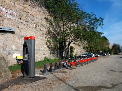 La Mulatière - Rue Stéphane Déchant, station Vélo'v 21001