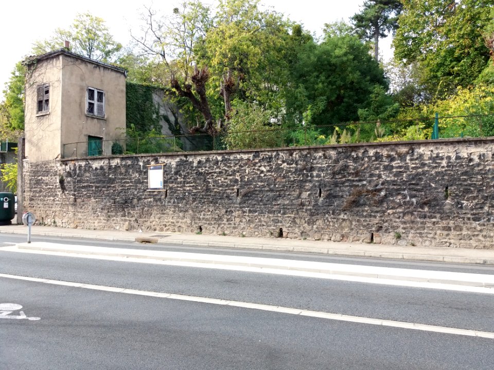 La Mulatière - Rue Stéphane Déchant, maison au numéro 86 (2)