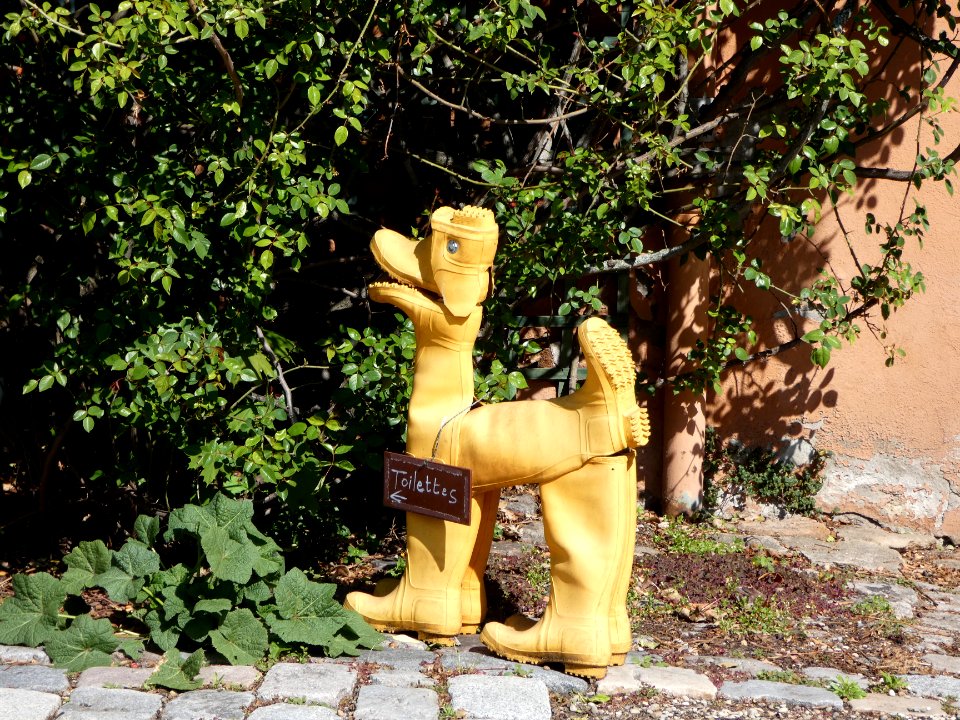 La Mulatière - Jardin de La Bonne Maison - Chien indiquant les toilettes