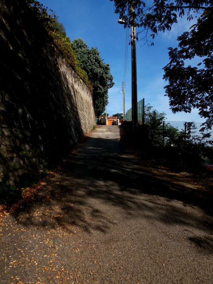 La Mulatière - Chemin du Pensionnat, vers le nord, depuis l'escalier Clément Mulat