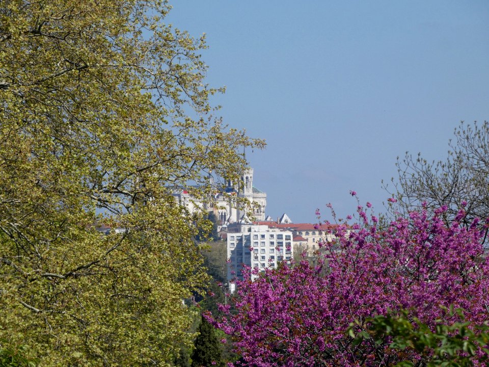 La Mulatière - Jardin de La Bonne Maison - Vue sur la basilique de Fourvière