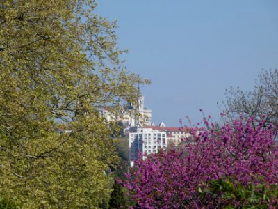 La Mulatière - Jardin de La Bonne Maison - Vue sur la basilique de Fourvière