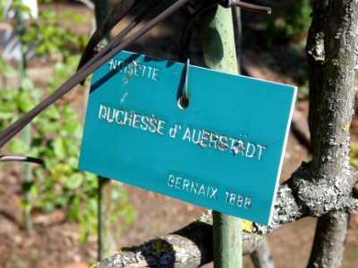 La Mulatière - Jardin de La Bonne Maison - Étiquette Duchesse d'Auerstädt