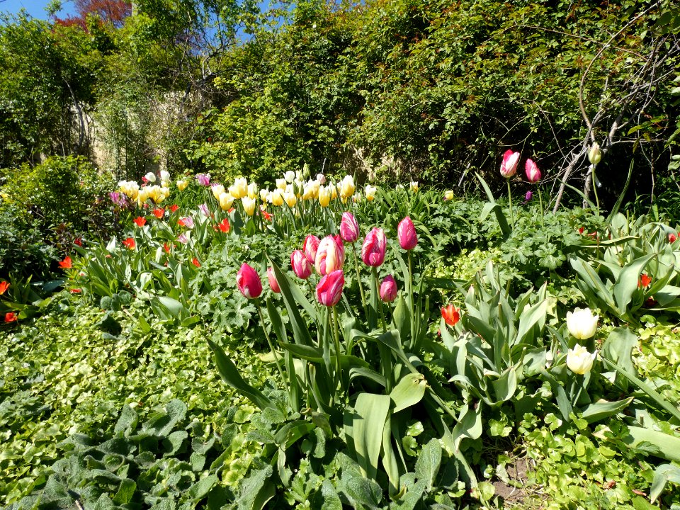 La Mulatière - Jardin de La Bonne Maison 03