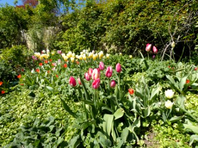 La Mulatière - Jardin de La Bonne Maison 03 photo