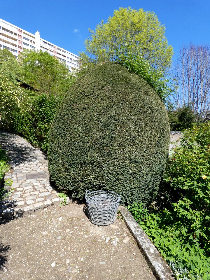 La Mulatière - Jardin de La Bonne Maison 06