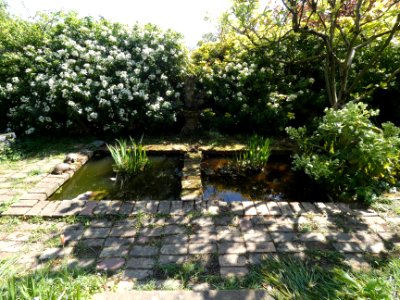 La Mulatière - Jardin de La Bonne Maison - Petit bassin photo