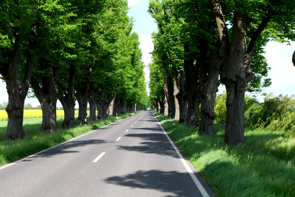 L15 Avenue in Gollmitz 2021-05-29 47