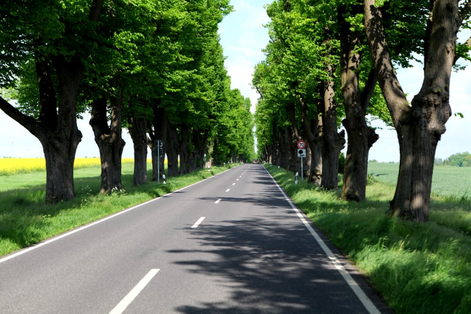 L15 Avenue in Gollmitz 2021-05-29 43