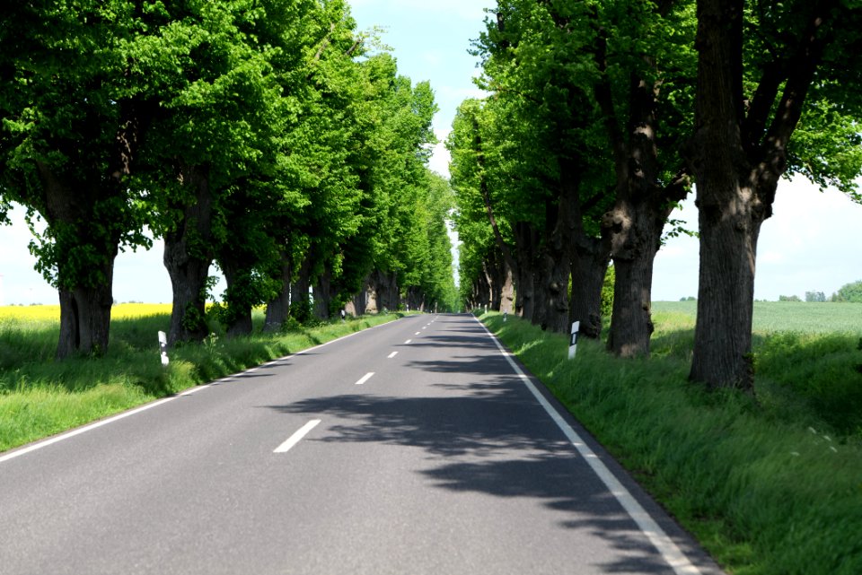 L15 Avenue in Gollmitz 2021-05-29 46