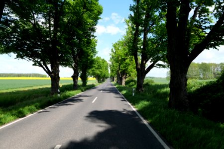 L15 Avenue in Gollmitz 2021-05-29 41