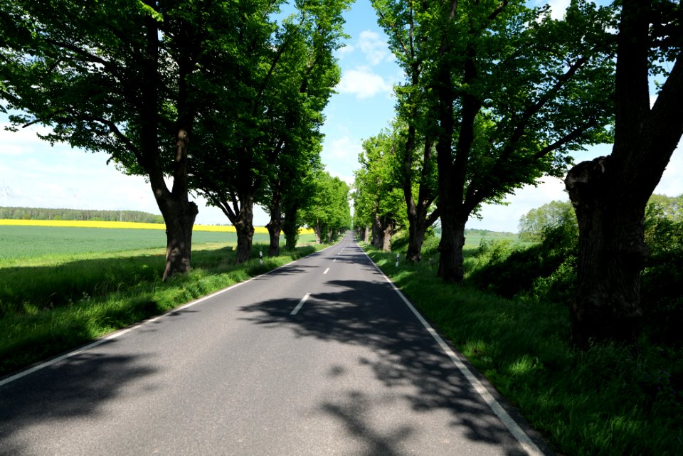 L15 Avenue in Gollmitz 2021-05-29 40