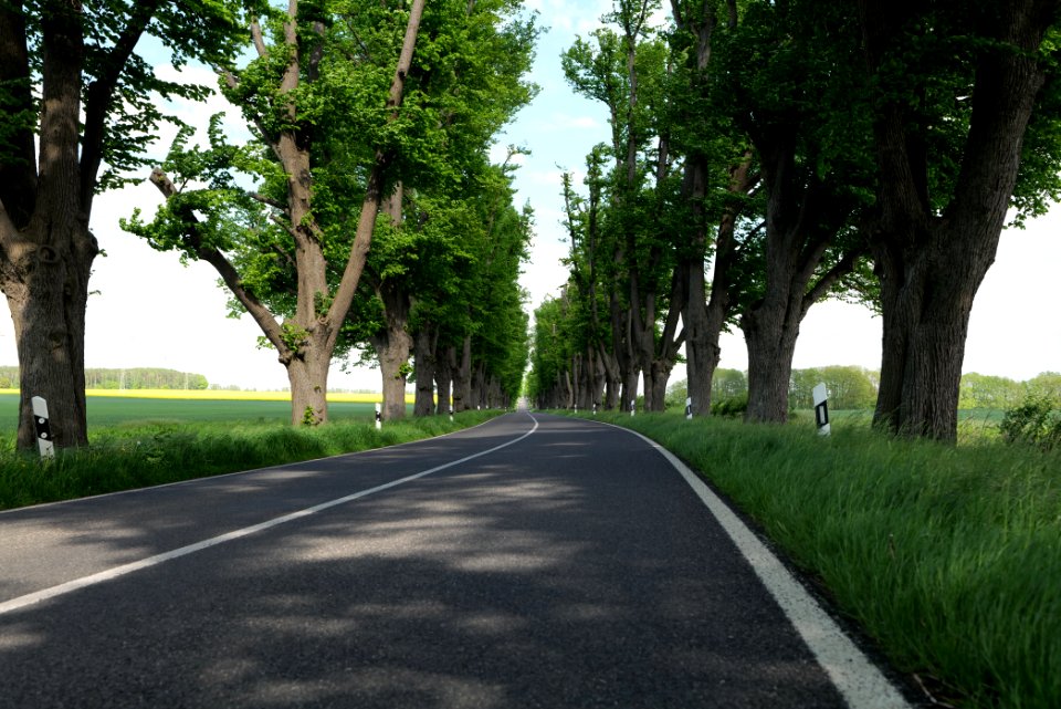 L15 Avenue in Gollmitz 2021-05-29 34