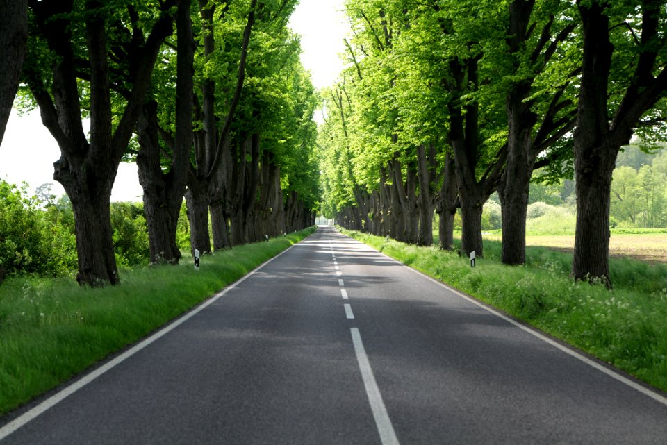 L15 Avenue in Gollmitz 2021-05-29 15